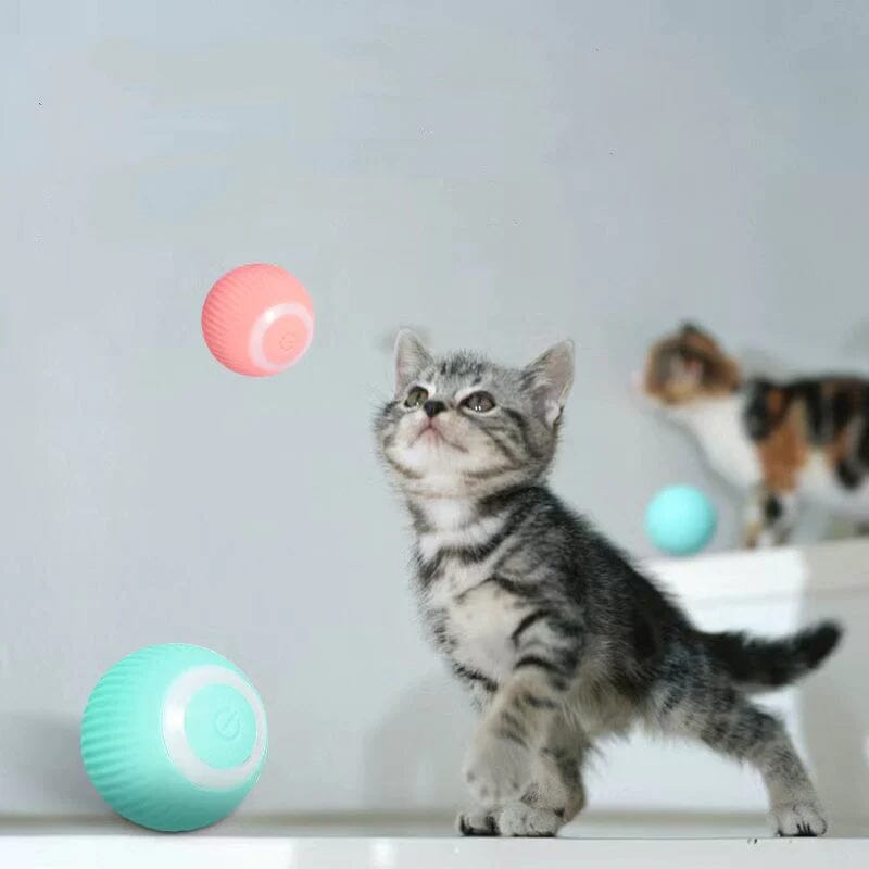 PlayPaws - Interactive Cat Toy for Fun & Exercise