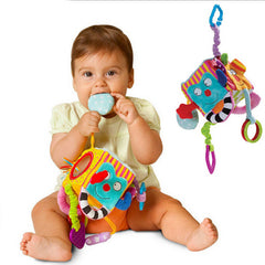 TinyExplorer – Interactive Baby Cube