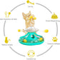 WhiskerJoy - Cat Toy with Treat Dispenser and Ball Track