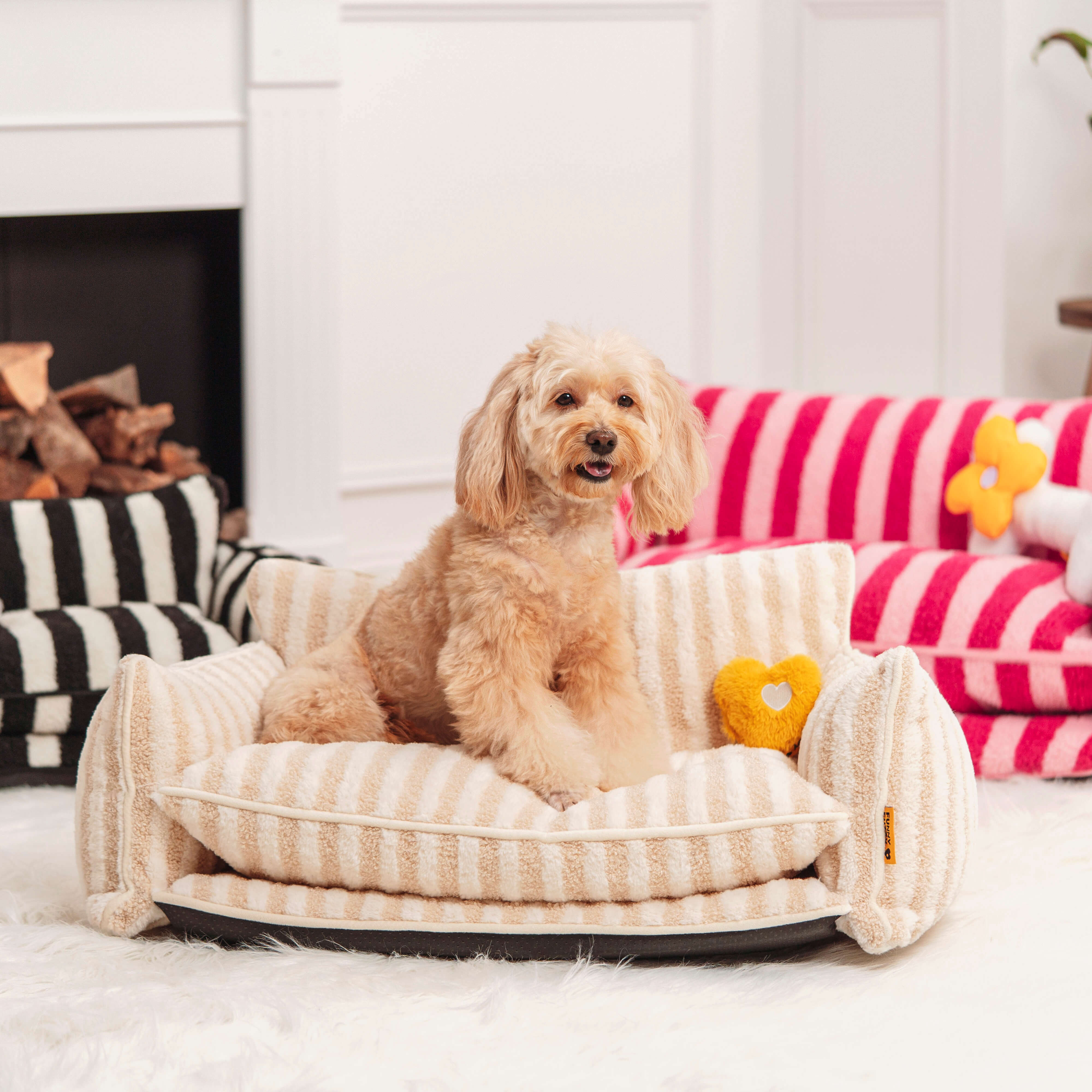 ComfyCouch - Luxury Pet Bed for Ultimate Comfort