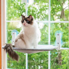 KittySeat - Panoramic Window Cat Hammock