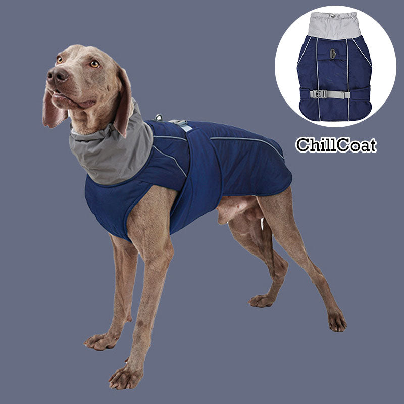 ChillGuard - Premium Dog Winter Jacket