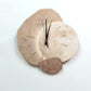 Hanging Wall Decoration - Cream Wind Silent Wall Clock