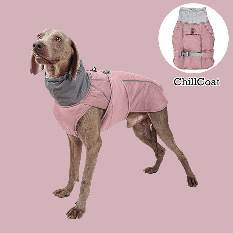 ChillGuard - Premium Dog Winter Jacket