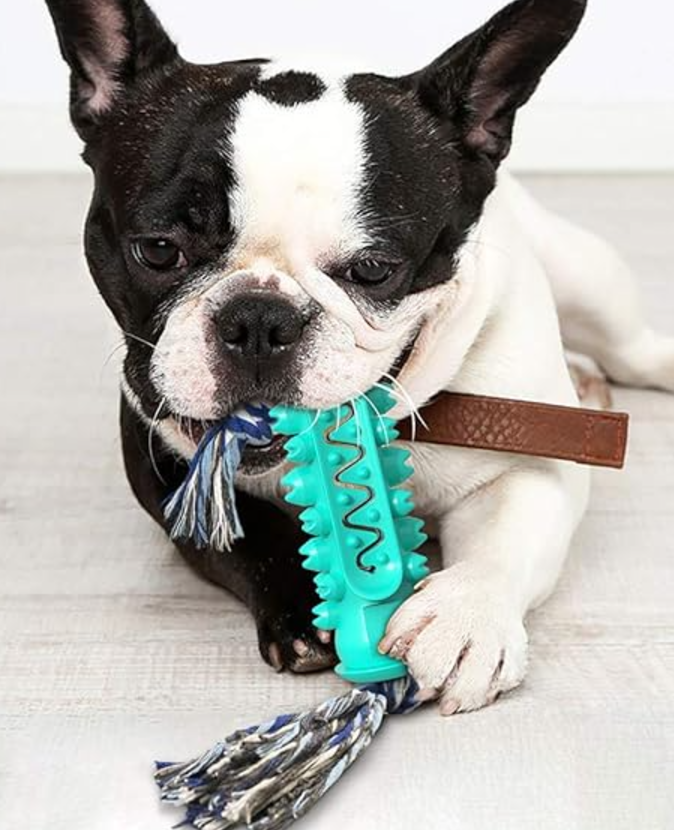 PawSpike - Spiked Rubber Dog Toy