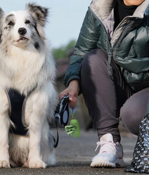 PetPouch - Portable Waste Bag Holder for Dog Owners