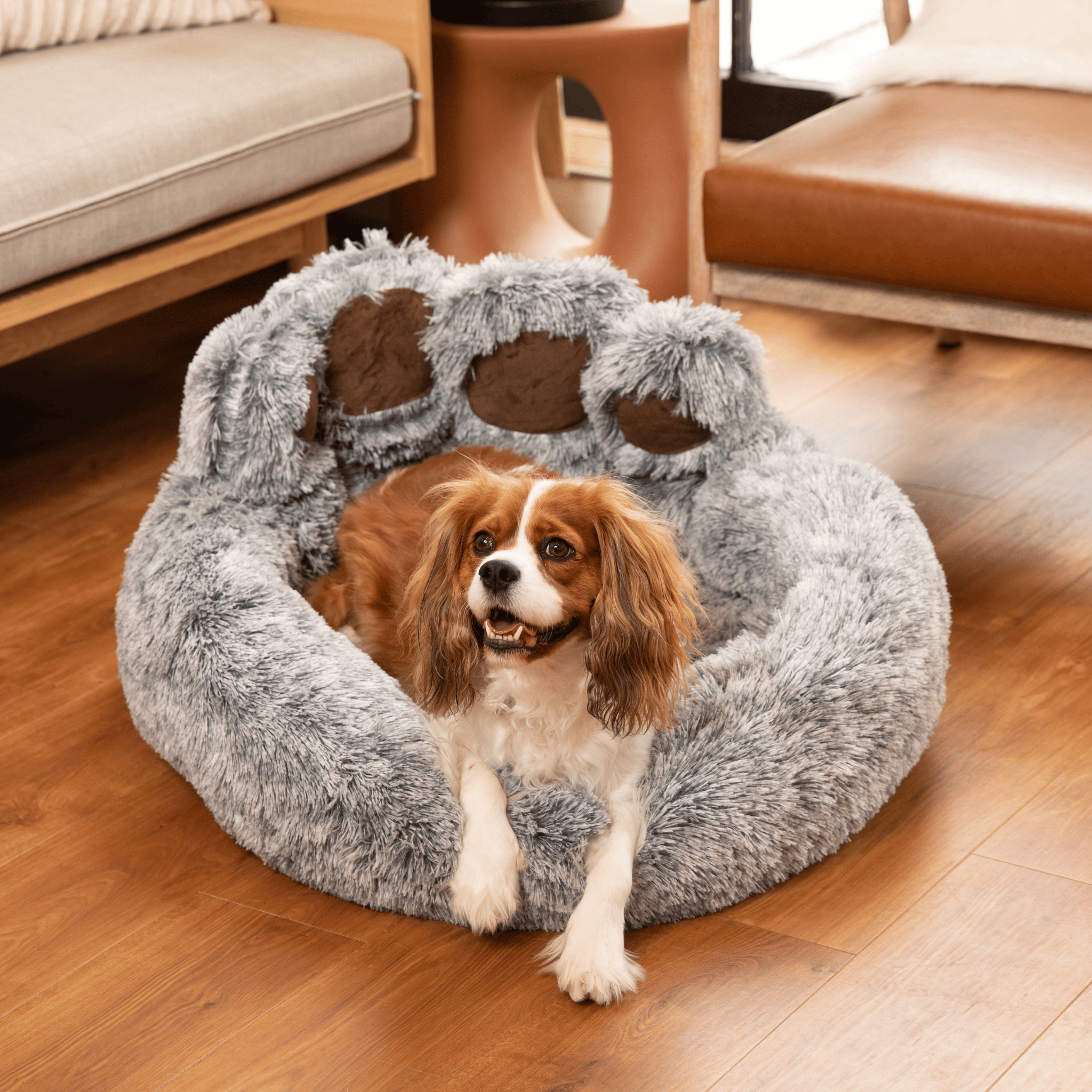 CozyPaw | Relaxing Dog Bed