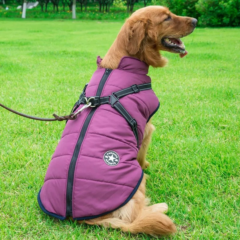 Dog jacket | Waterproof and Warm