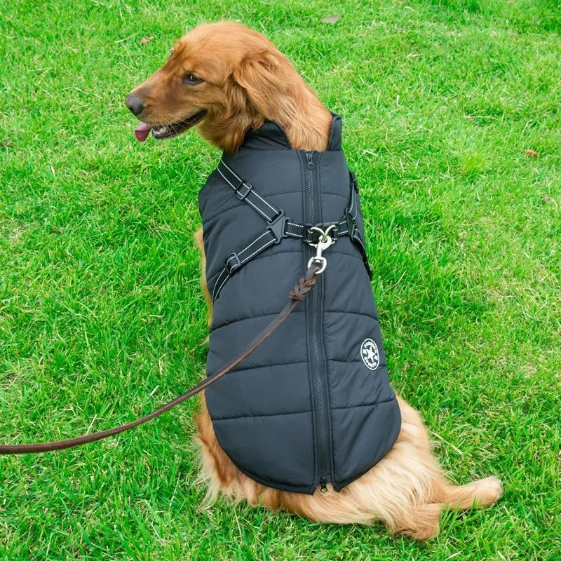 Dog jacket | Waterproof and Warm