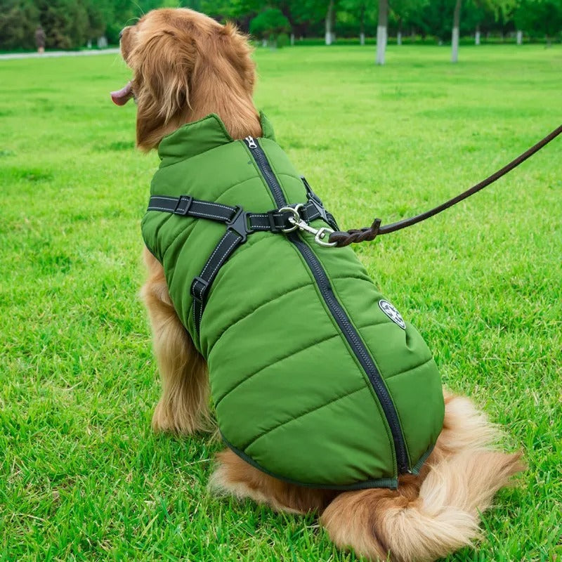 Dog jacket | Waterproof and Warm