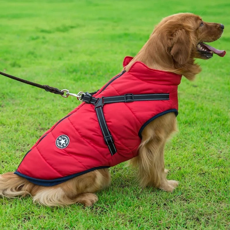 Dog jacket | Waterproof and Warm