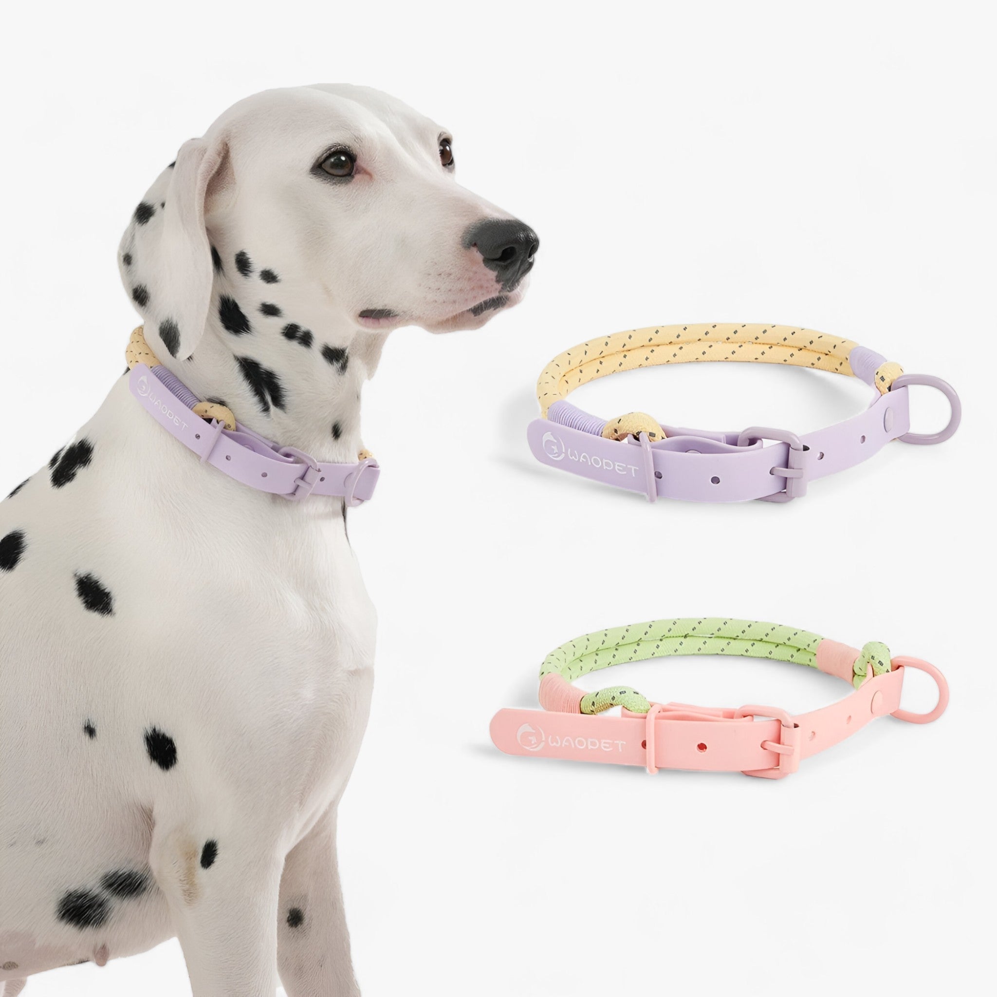 PAWFECT PALS - Dog Collar Set