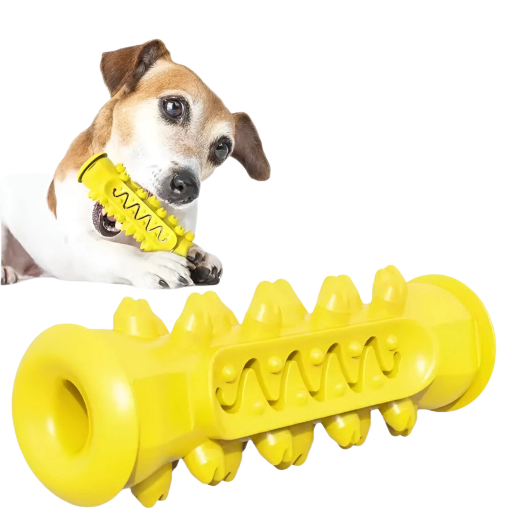 PawSpike - Spiked Rubber Dog Toy