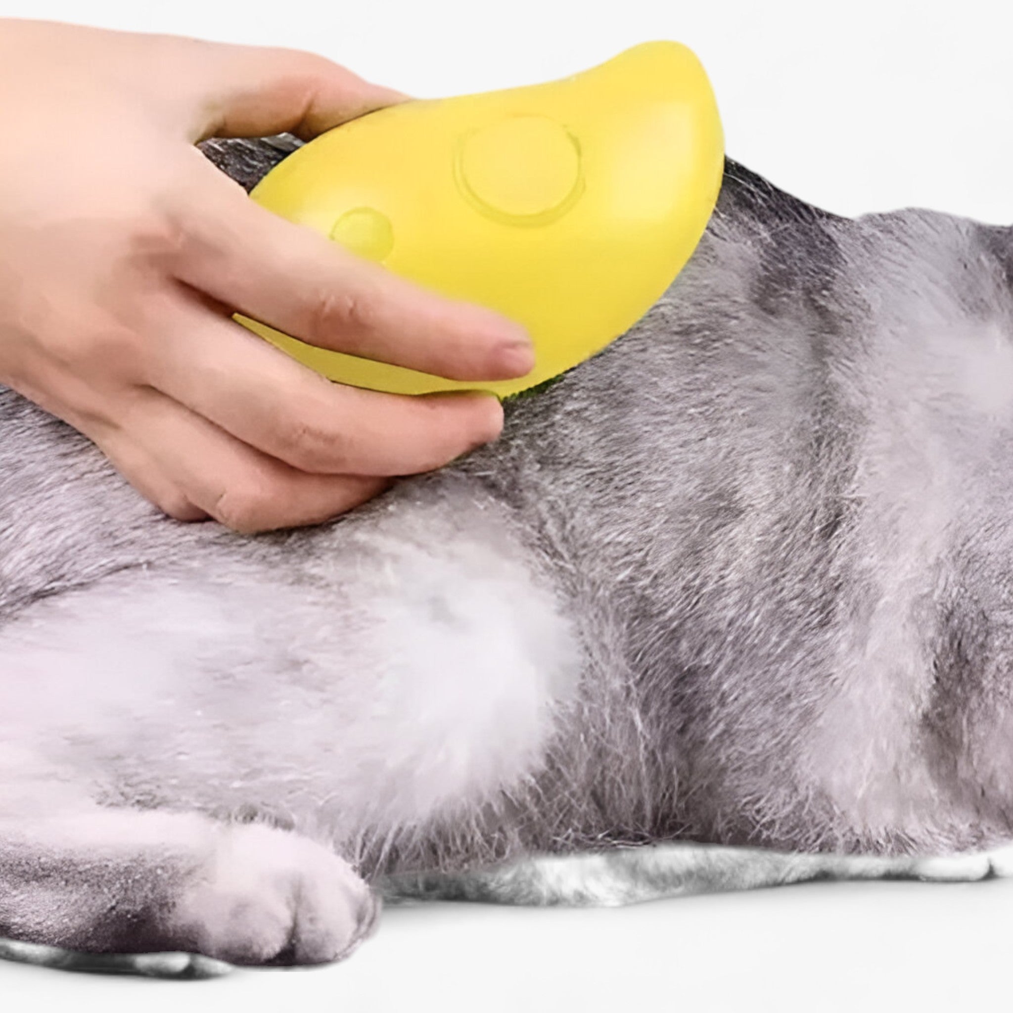 PET - All-in-One Pet Grooming Tool - Enhances Grooming with Steam and Massage