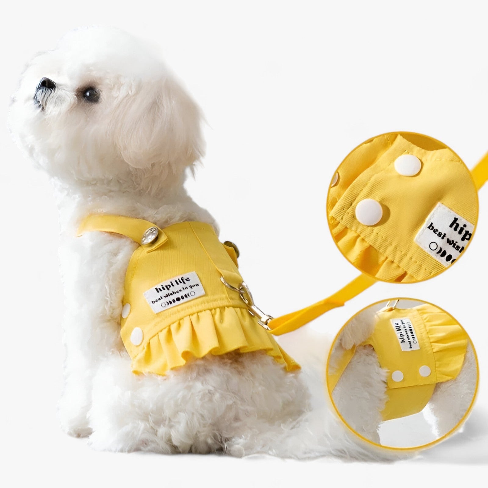 Doggie | Collar harness Vest