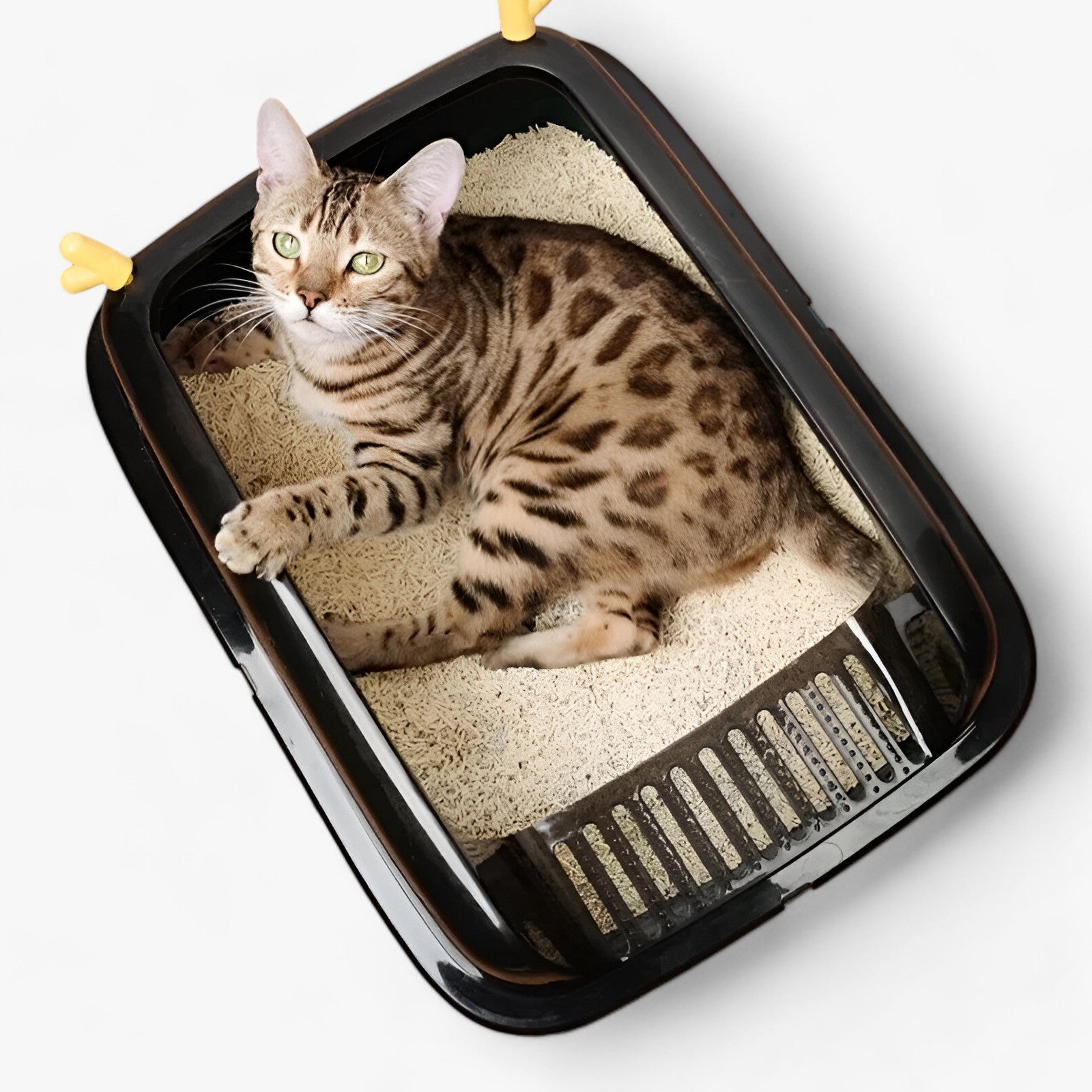 JASPER | Half-open litter box - Modern design for easy access and cleanliness