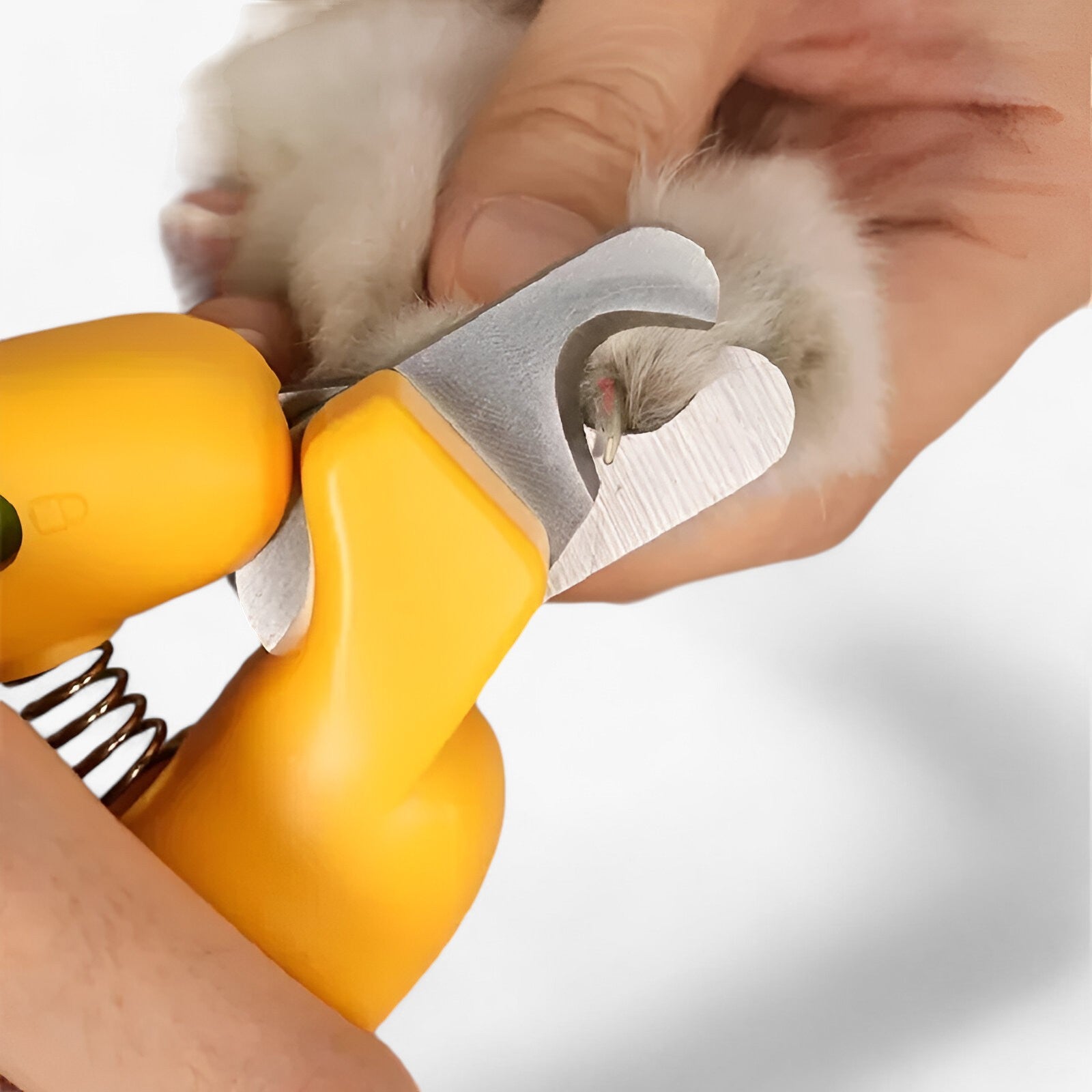 PetPaw - Pet Nail Scissors - Simple and Safe Nail Clipping