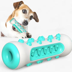 PawSpike - Spiked Rubber Dog Toy