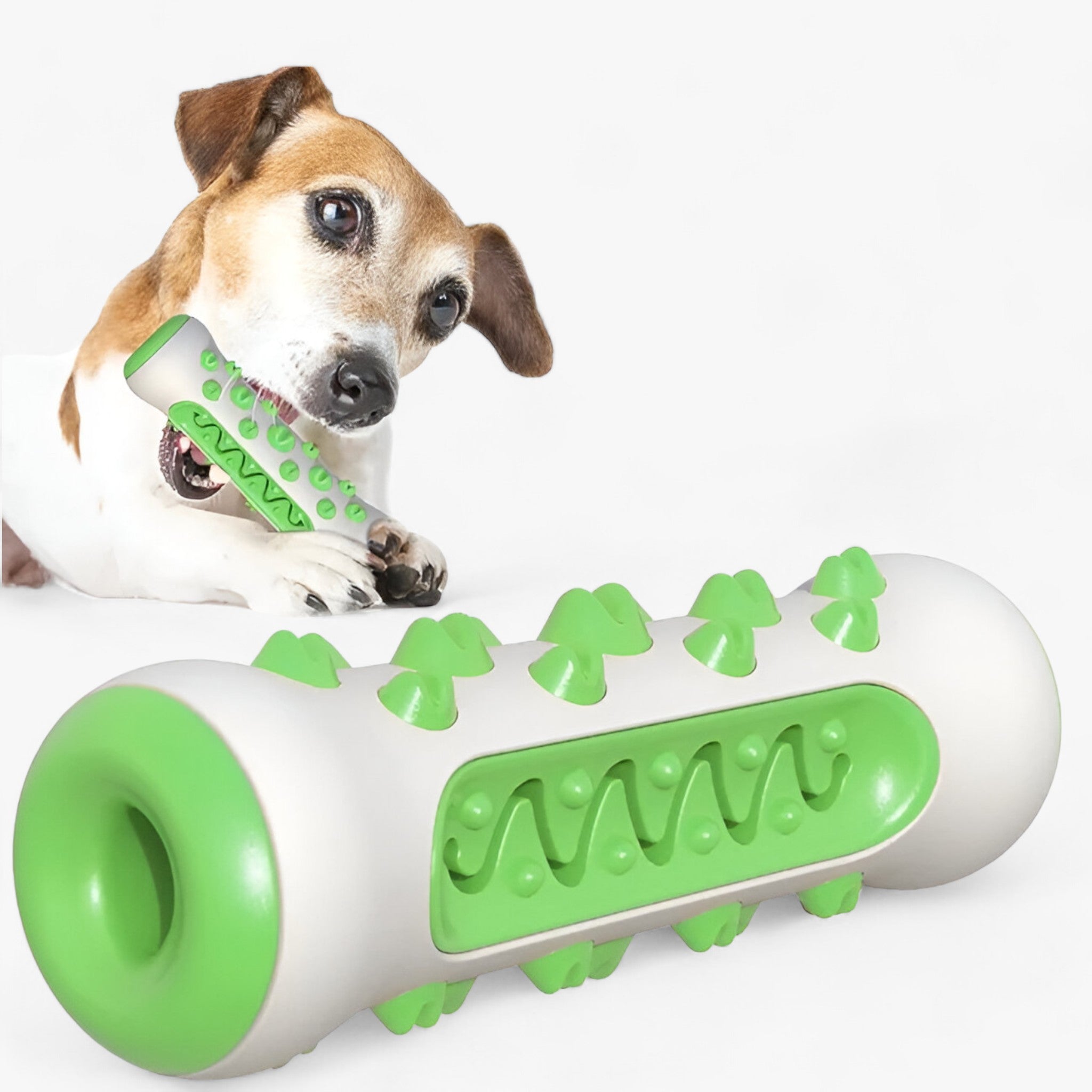 PawSpike - Spiked Rubber Dog Toy