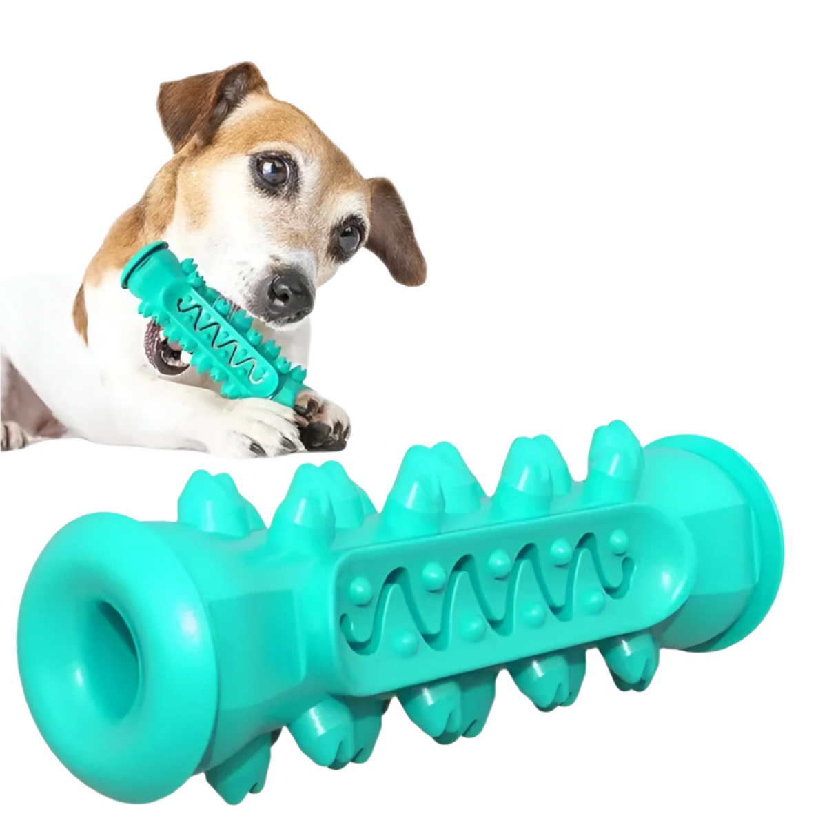 PawSpike - Spiked Rubber Dog Toy