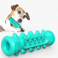 PawSpike - Spiked Rubber Dog Toy