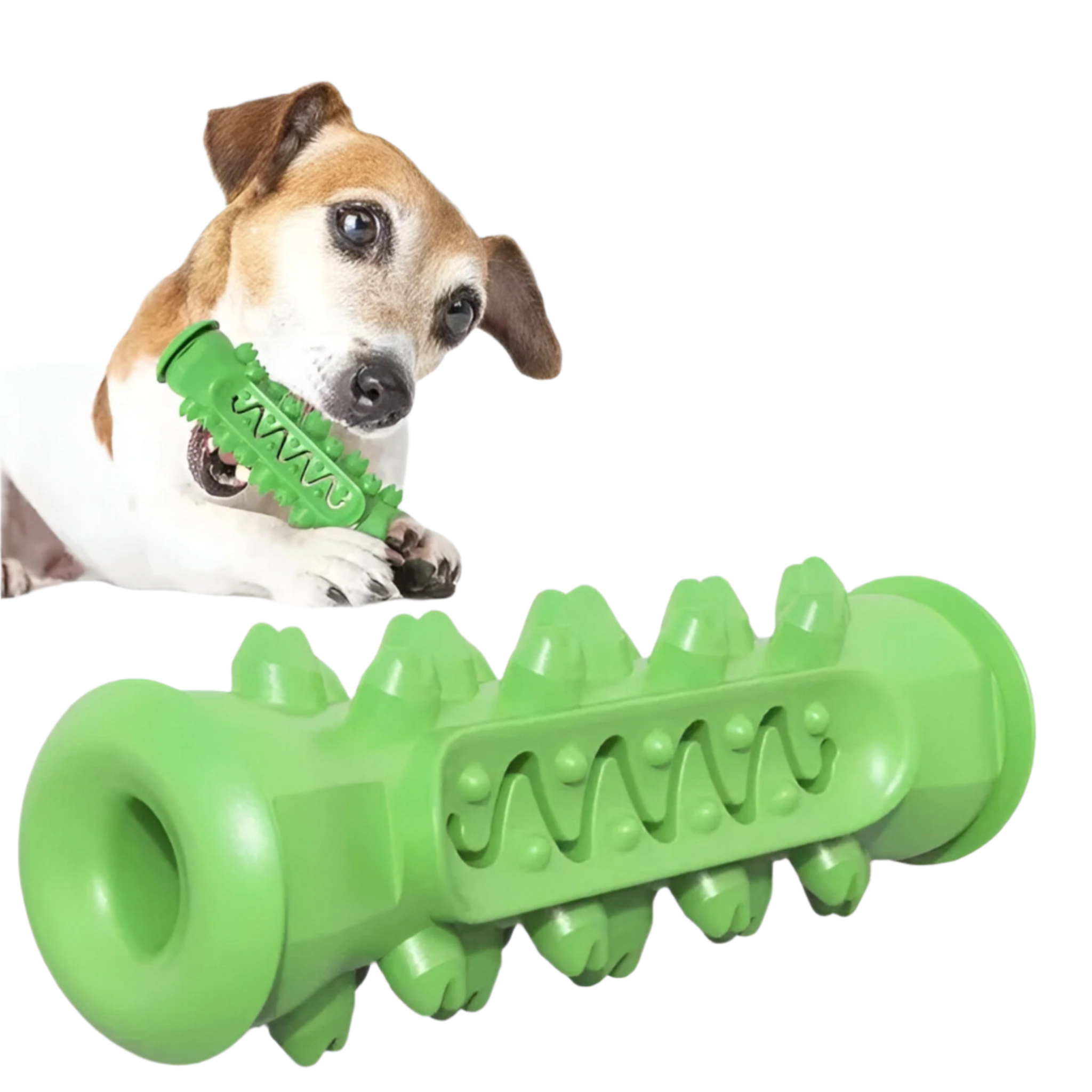 PawSpike - Spiked Rubber Dog Toy