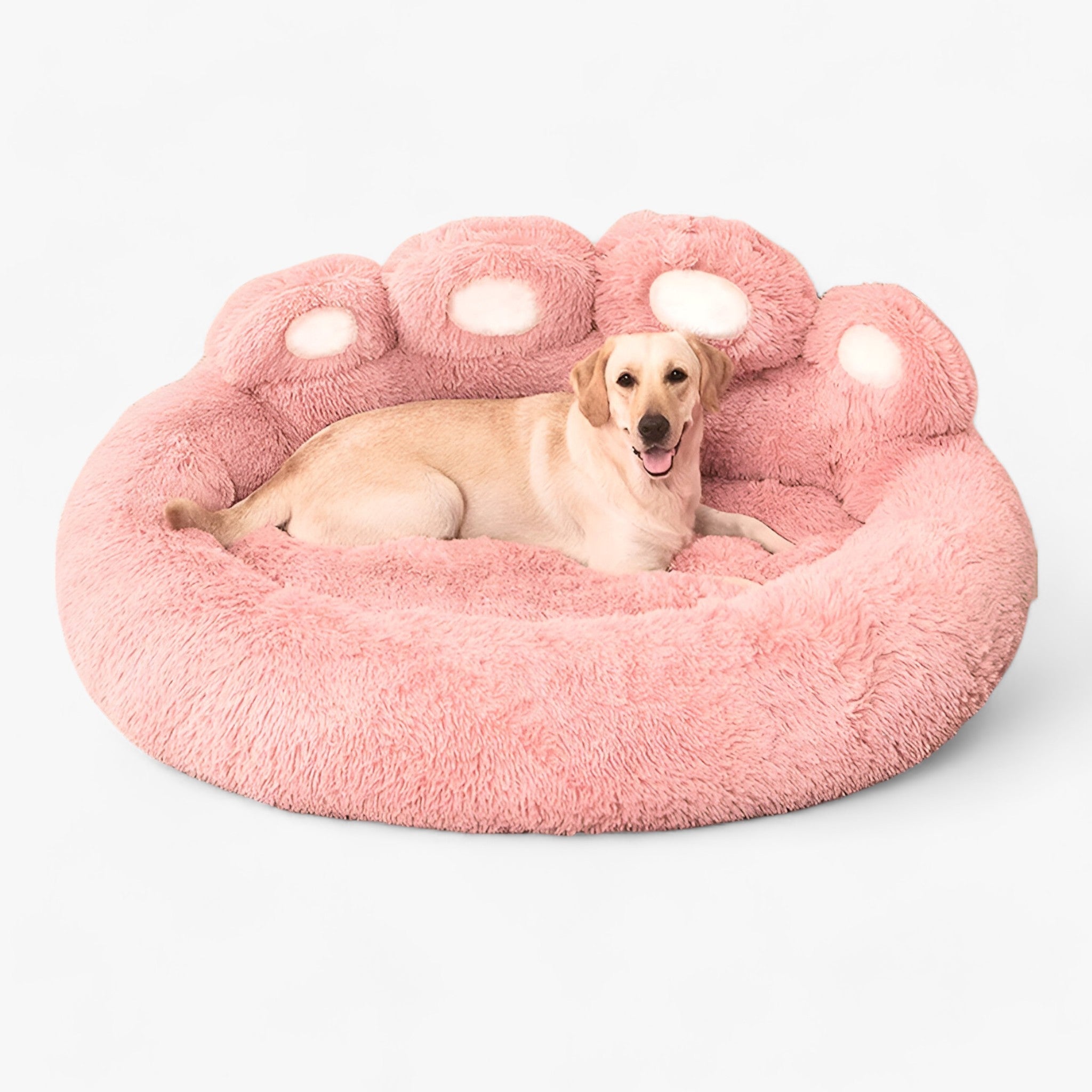 CozyPaws | Pet Sofa Bed