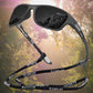 SolarShield – Ultimate UV Protection & Scratch-Resistant Sunglasses