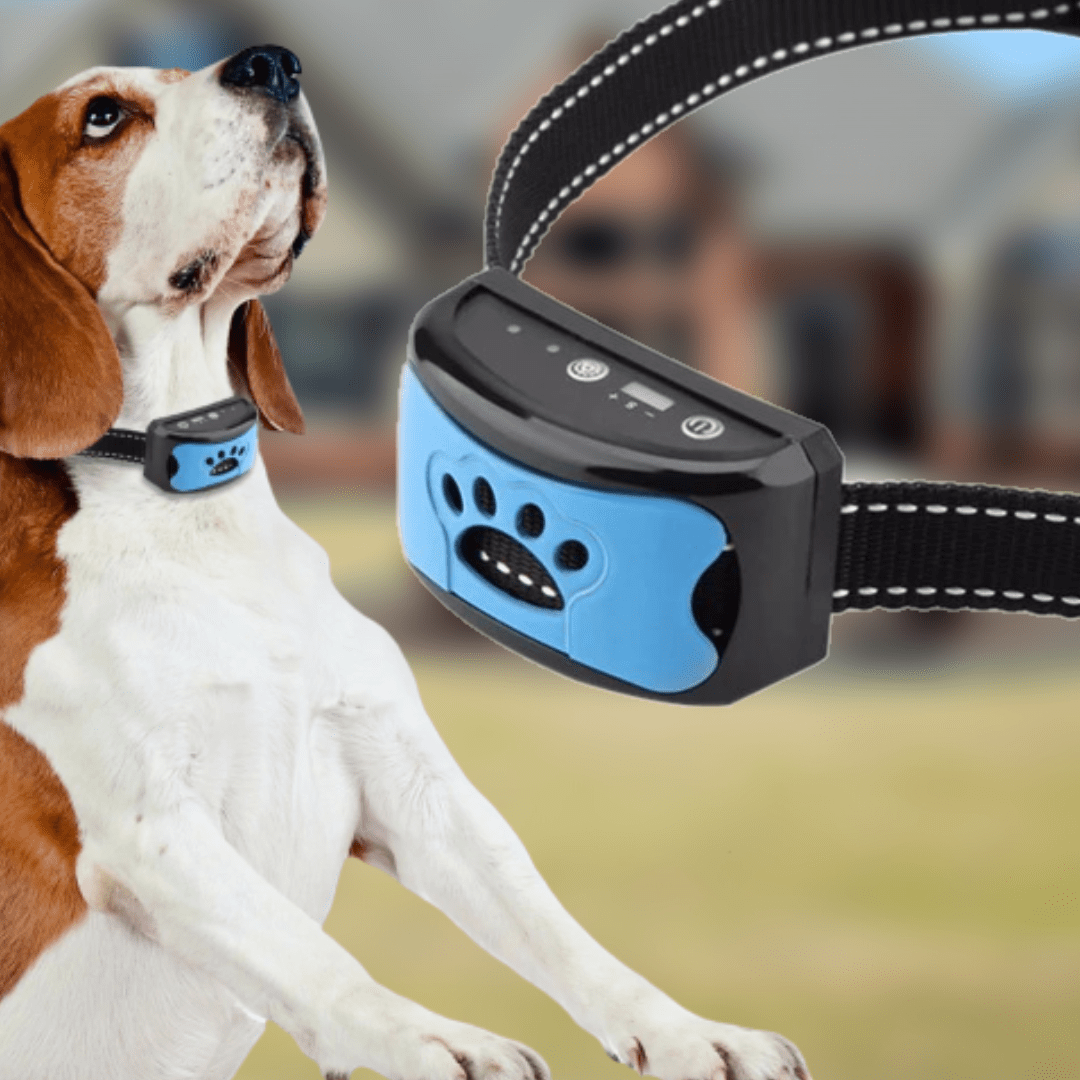 GentleDog - Pain-Free Anti-Bark Dog Collar